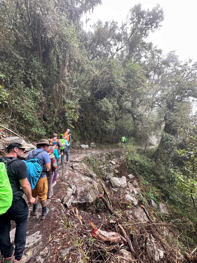 Hikers navigating a rocky path surrounded by lush greenery on the Inca Trail, shrouded in mist.
