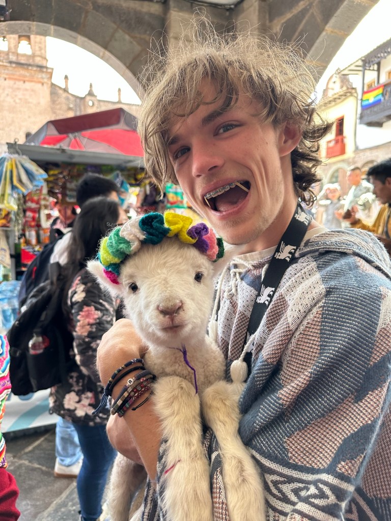 A young person smiling widely while holding a small white alpaca with a colorful headband, surrounded by a bustling market scene.