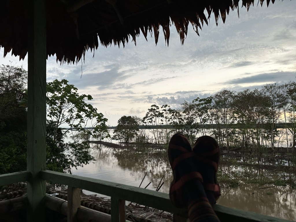 View from a wooden structure overlooking the Amazon River at dusk, with trees and calm water in the foreground.