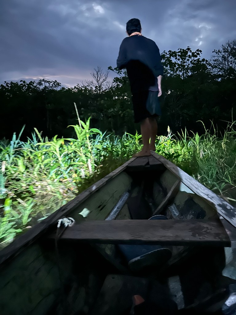 A person standing on a wooden boat in a dimly lit setting, surrounded by lush green vegetation and looming clouds in the background.